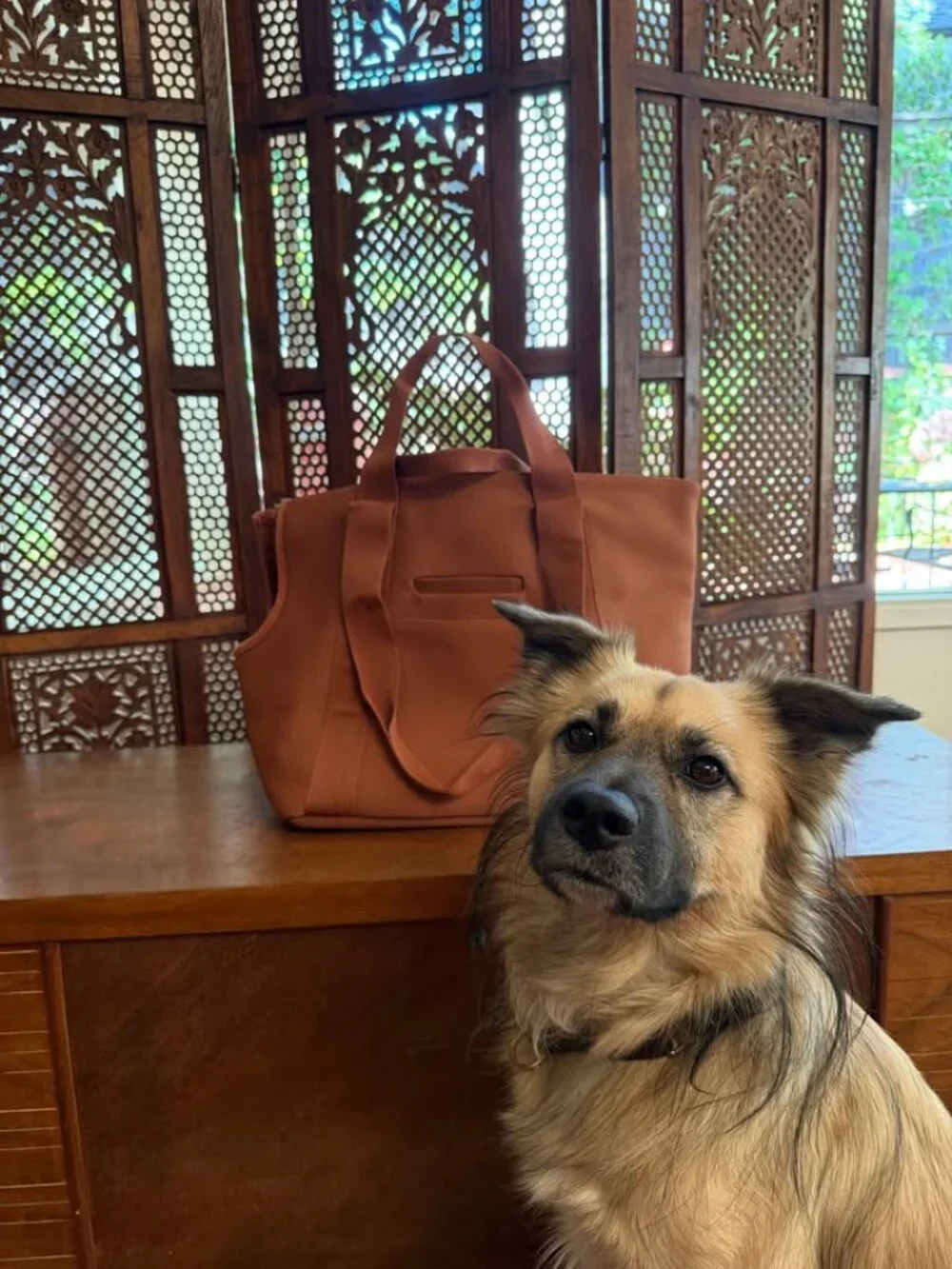 Wild One dog carrier in cocoa